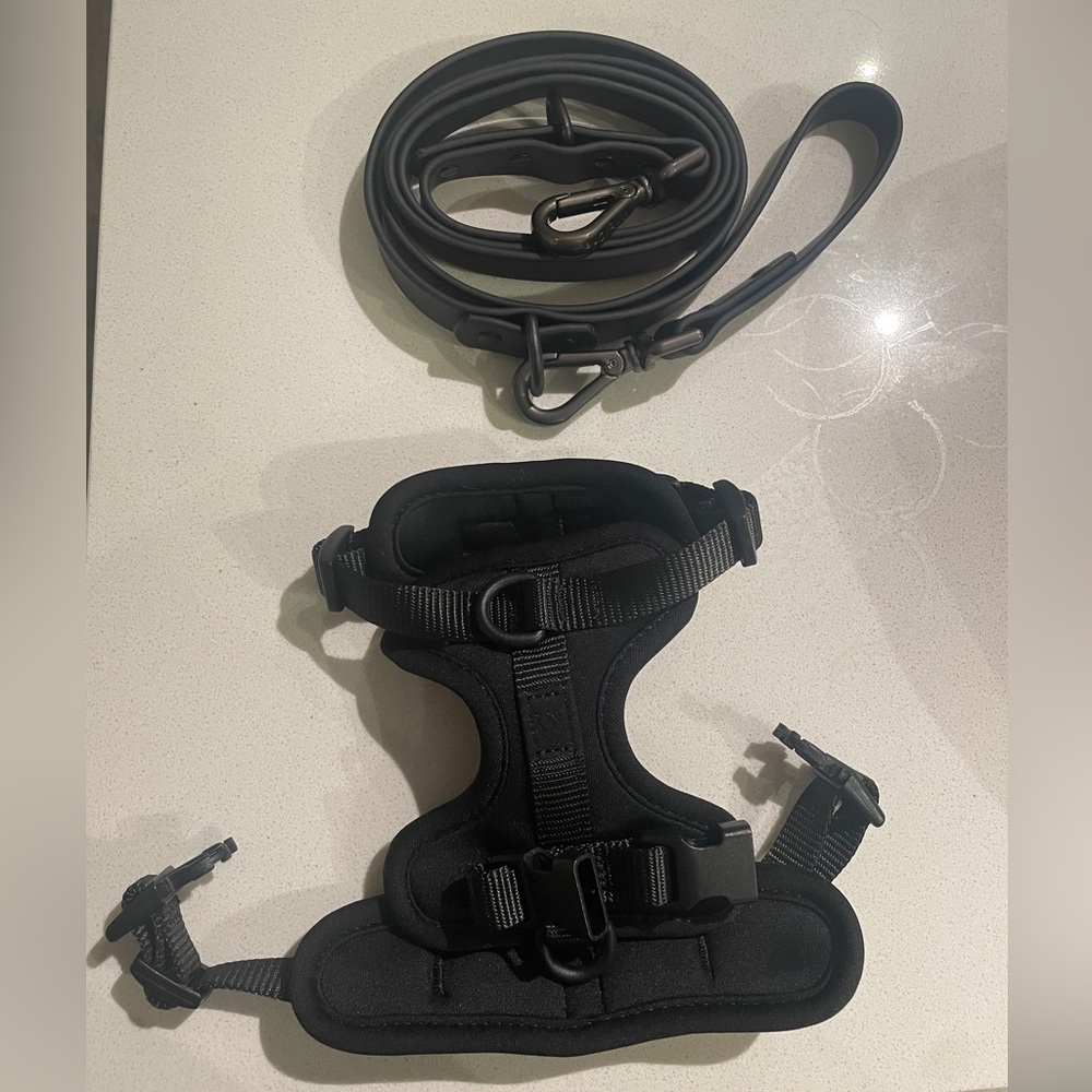 Wild One XS Dog Harness & Small Leash Kit